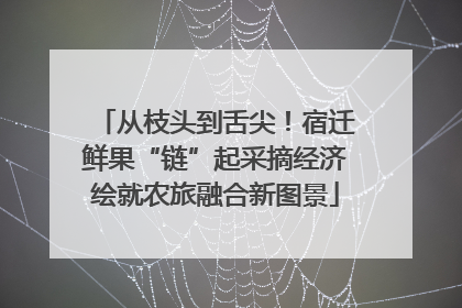 从枝头到舌尖！宿迁鲜果“链”起采摘经济绘就农旅融合新图景