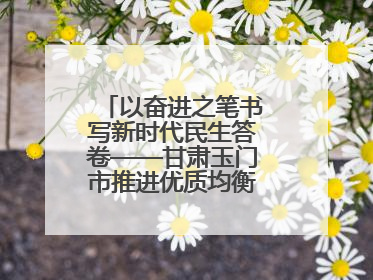 以奋进之笔书写新时代民生答卷——甘肃玉门市推进优质均衡教育工作综述