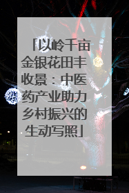 以岭千亩金银花田丰收景：中医药产业助力乡村振兴的生动写照