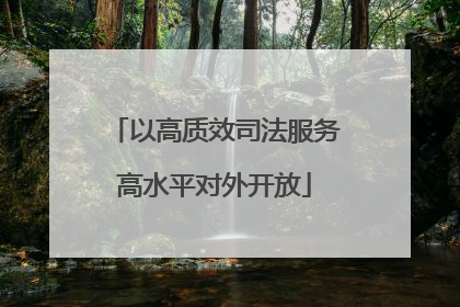 以高质效司法服务高水平对外开放