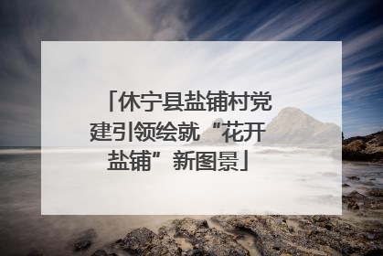 休宁县盐铺村党建引领绘就“花开盐铺”新图景