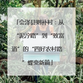 会泽县则补村：从“泥泞路”到“致富道”的“四好农村路”蝶变新篇