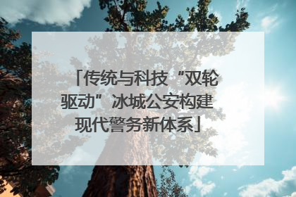 传统与科技“双轮驱动”冰城公安构建现代警务新体系