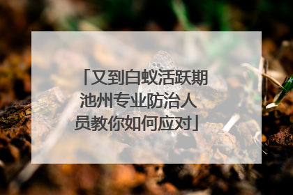 又到白蚁活跃期 池州专业防治人员教你如何应对
