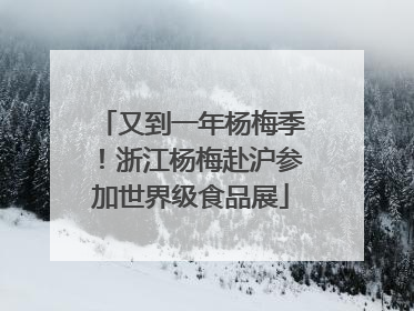 又到一年杨梅季！浙江杨梅赴沪参加世界级食品展