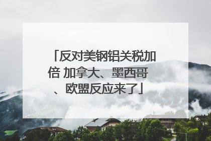 反对美钢铝关税加倍 加拿大、墨西哥、欧盟反应来了