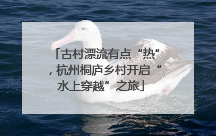 古村漂流有点“热”，杭州桐庐乡村开启“水上穿越”之旅