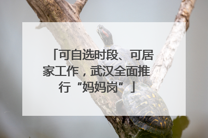 可自选时段、可居家工作，武汉全面推行“妈妈岗”