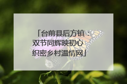 台前县后方镇：双节同辉映初心 织密乡村温情网