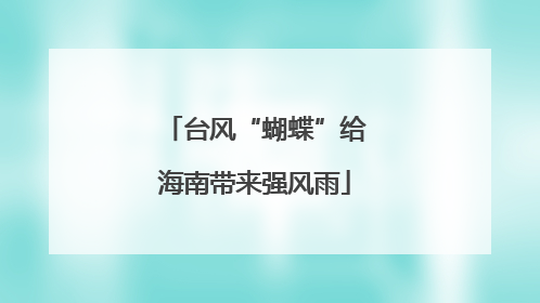 台风“蝴蝶”给海南带来强风雨