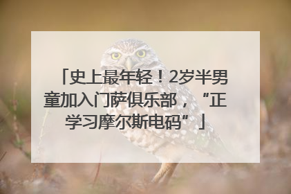 史上最年轻！2岁半男童加入门萨俱乐部，“正学习摩尔斯电码”
