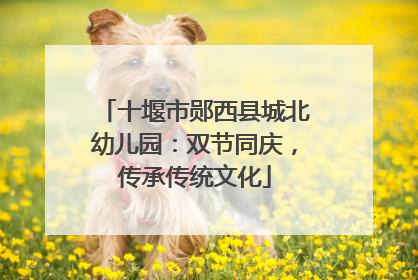十堰市郧西县城北幼儿园：双节同庆，传承传统文化