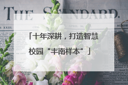 十年深耕，打造智慧校园“丰南样本”