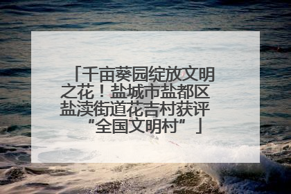 千亩葵园绽放文明之花！盐城市盐都区盐渎街道花吉村获评“全国文明村”