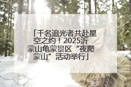 千名追光者共赴星空之约！2025沂蒙山龟蒙景区“夜爬蒙山”活动举行
