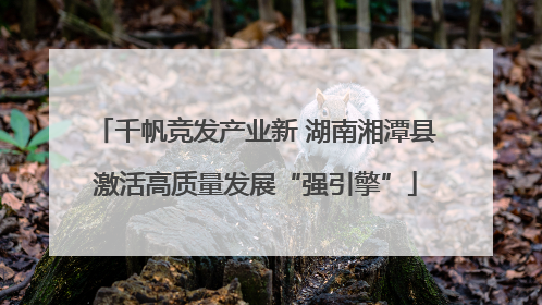 千帆竞发产业新 湖南湘潭县激活高质量发展“强引擎”