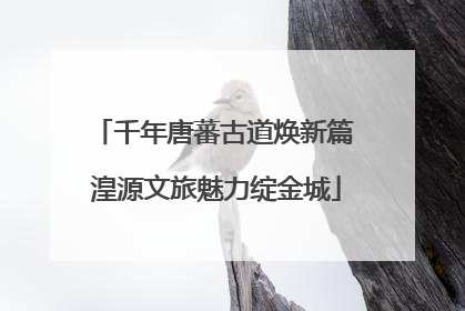 千年唐蕃古道焕新篇 湟源文旅魅力绽金城