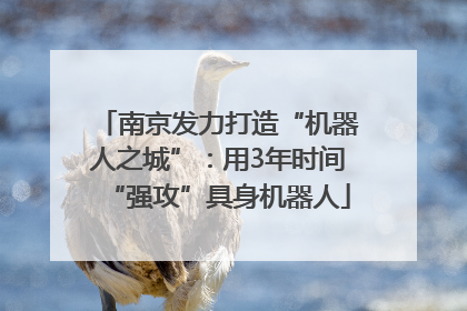 南京发力打造“机器人之城”：用3年时间“强攻”具身机器人