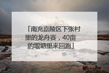 南充嘉陵区下张村里的龙舟赛，40亩的堰塘里来回跑