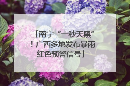 南宁“一秒天黑”！广西多地发布暴雨红色预警信号