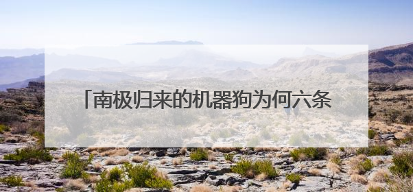 南极归来的机器狗为何六条腿？eVTOL明年可载客？上交会解码前沿技术创新