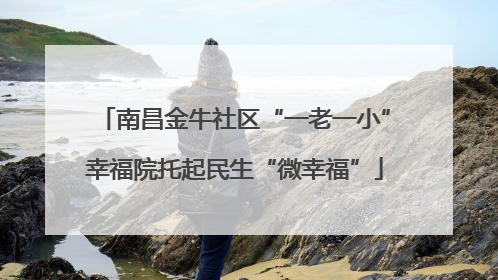 南昌金牛社区“一老一小”幸福院托起民生“微幸福”