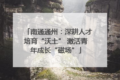 南通通州：深耕人才培育“沃土” 激活青年成长“磁场”