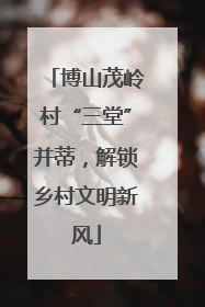 博山茂岭村“三堂”并蒂，解锁乡村文明新风