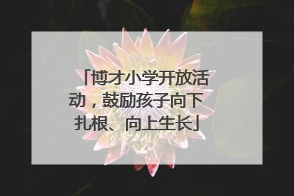 博才小学开放活动,鼓励孩子向下扎根、向上生长