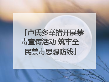 卢氏多举措开展禁毒宣传活动 筑牢全民禁毒思想防线