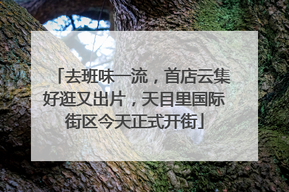 去班味一流，首店云集好逛又出片，天目里国际街区今天正式开街