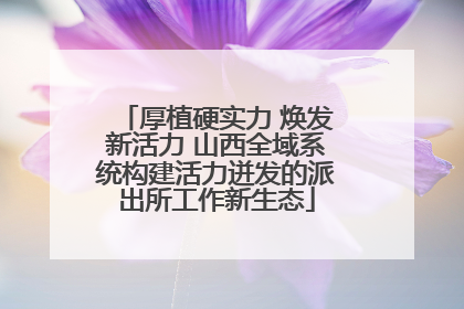 厚植硬实力 焕发新活力 山西全域系统构建活力迸发的派出所工作新生态
