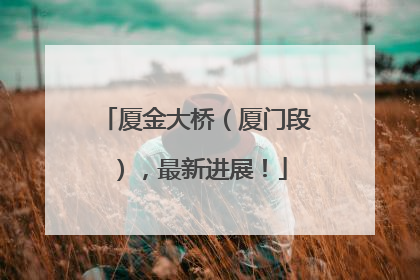 厦金大桥（厦门段），最新进展！