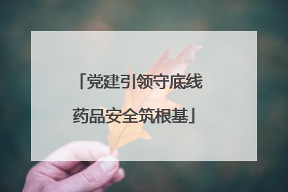 党建引领守底线 药品安全筑根基