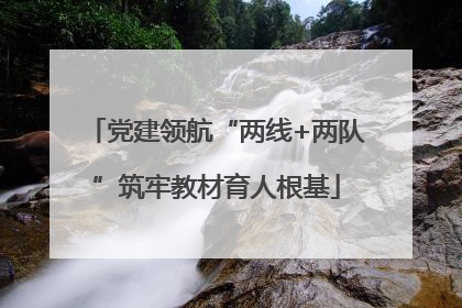 党建领航“两线+两队”筑牢教材育人根基
