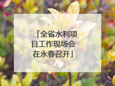 全省水利项目工作现场会在永春召开