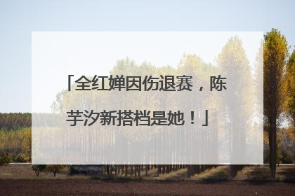 全红婵因伤退赛，陈芋汐新搭档是她！