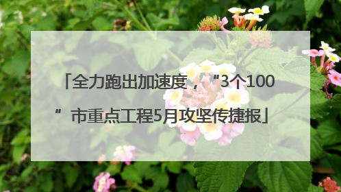 全力跑出加速度，“3个100”市重点工程5月攻坚传捷报
