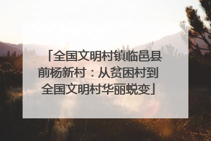 全国文明村镇临邑县前杨新村：从贫困村到全国文明村华丽蜕变