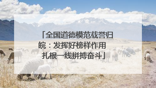 全国道德模范载誉归皖：发挥好榜样作用 扎根一线拼搏奋斗