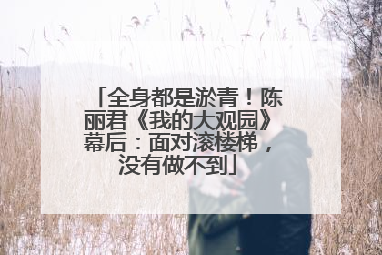 全身都是淤青！陈丽君《我的大观园》幕后：面对滚楼梯，没有做不到
