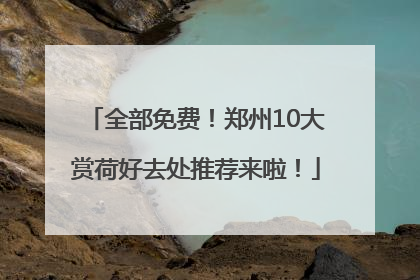 全部免费！郑州10大赏荷好去处推荐来啦！