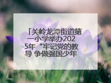关岭龙潭街道第一小学举办2025年“牢记党的教导 争做强国少年”“六一”文艺汇演活动