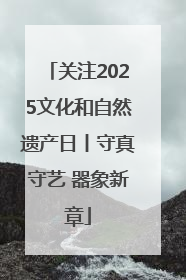 关注2025文化和自然遗产日丨守真守艺 器象新章