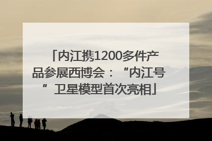 内江携1200多件产品参展西博会：“内江号”卫星模型首次亮相