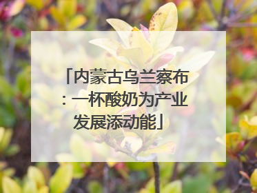 内蒙古乌兰察布：一杯酸奶为产业发展添动能