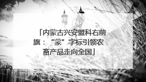 内蒙古兴安盟科右前旗：“蒙”字标引领农畜产品走向全国