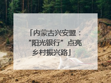 内蒙古兴安盟：“阳光银行”点亮乡村振兴路