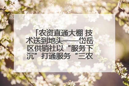 农资直通大棚 技术送到地头——岱岳区供销社以“服务下沉”打通服务“三农”最后一公里