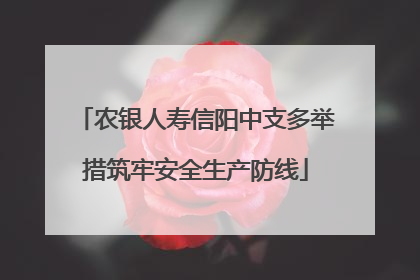 农银人寿信阳中支多举措筑牢安全生产防线